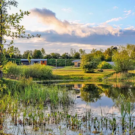 Stunning In Suesel With Kitchen Holiday home *